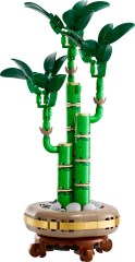 LEGO 10344-1 Lucky Bamboo