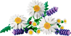 LEGO 11508-1 Daisies
